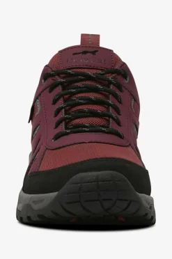 Polecat Walkingsko Sicco Lech GTX